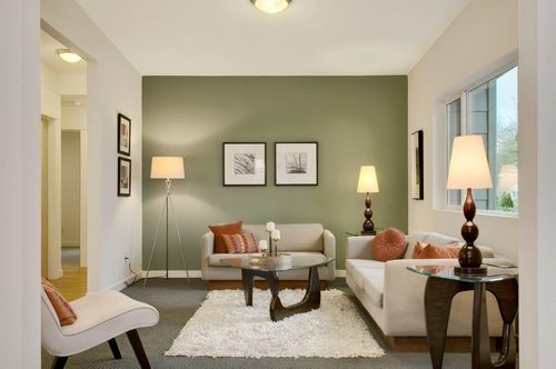 Цвет стен в гостиной фото: тон для интерьера и сочетание темного, какие выбрать лучшие цветы, как подобрать краску
