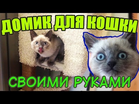 Домик для кошки своими руками: фото, чертежи, схемы, видео