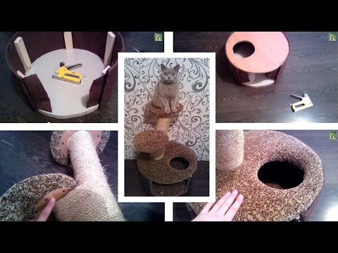 Домик для кошки своими руками: фото, чертежи, схемы, видео (домик, кошка) Домик для кошки своими руками: фото, чертежи, схемы, видео