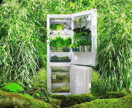 Холодильники «Gorenje» (Горенье): отзывы о компании, плюсы и минусы, обзор моделей (холодильник, продукт) Холодильники «Gorenje» (Горенье): отзывы о компании, плюсы и минусы, обзор моделей