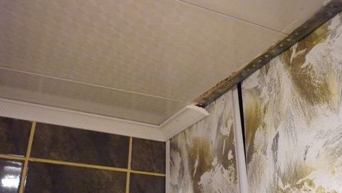 Как сделать потолок в ванной (потолок, ванна, влага) Как сделать потолок в ванной