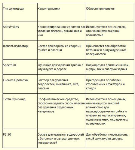 Как убрать грибок на стене и предотвратить его появление