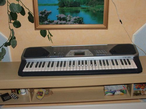 Как выбрать синтезатор: для начинающих, отзывы, какой купить для дома, для взрослых вместо пианино, для обучения
