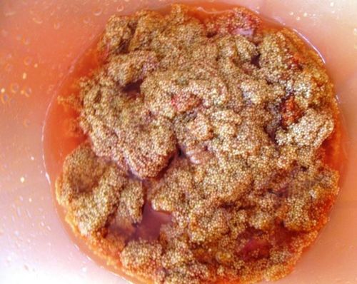 Оладьи из икры сазана: карася и рыбы, рецепт речной, как приготовить карпа и толстолобика, сделать фото (оладья, икра, рыба) Оладьи из икры сазана: карася и рыбы, рецепт речной, как приготовить карпа и толстолобика, сделать фото