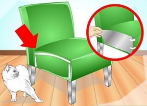 Основные способы, как отучить кошку драть обои и мебель