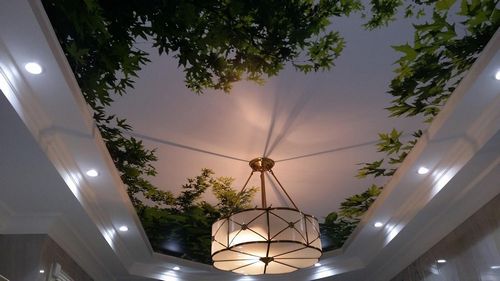 Потолок с фотопечатью: фото и изображения, каталог с картинками, рисунок и отзывы, художественные и стеклянные (потолок, фотопечать) Потолок с фотопечатью: фото и изображения, каталог с картинками, рисунок и отзывы, художественные и стеклянные