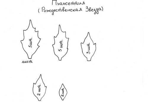 Пуансеттия из фоамирана мастер-класс: выкройка и шаблон, МК с видео, новогодний цветок, изготовление и как сделать (цветок, лепесток, фоамирана) Пуансеттия из фоамирана мастер-класс: выкройка и шаблон, МК с видео, новогодний цветок, изготовление и как сделать