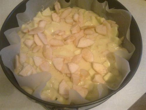 Рецепты шарлотки с яблоками: пирог в духовке, как сделать, фото пошагово, вкусная классическая шарлотка, приготовить пирог яблочный, видео (шарлотка, яблоко) Рецепты шарлотки с яблоками: пирог в духовке, как сделать, фото пошагово, вкусная классическая шарлотка, приготовить пирог яблочный, видео