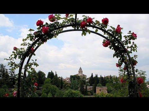 Садовая арка своими руками: фото, видео инструкция