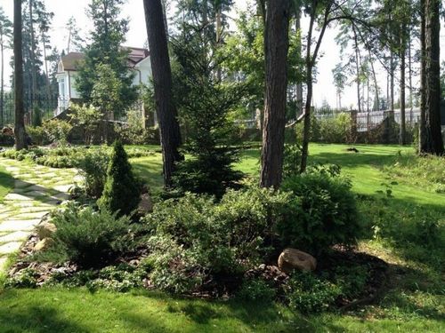 Современный ландшафтный дизайн загородного дома + фото (стиль, участок, ландшафтный) Современный ландшафтный дизайн загородного дома + фото