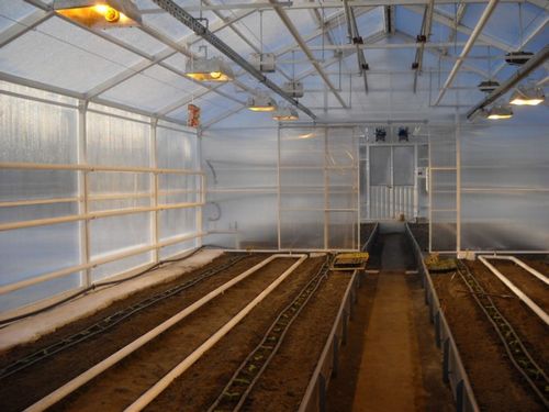 Теплица с двухскатной крышей из поликарбоната (теплица, поликарбоната, каркас) Теплица с двухскатной крышей из поликарбоната