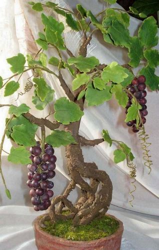 Топиарии своими руками дерево: мастер класс фото, как сделать декоративные, виноградное, мандариновое, поделка из цветов, видео