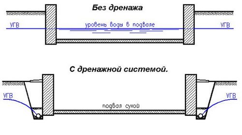 Уничтожение грибка в подвале (грибок, подвал) Уничтожение грибка в подвале