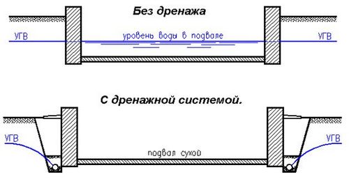 Уничтожение грибка в подвале