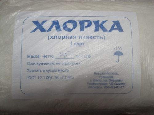 Уничтожение грибка в подвале (грибок, подвал) Уничтожение грибка в подвале
